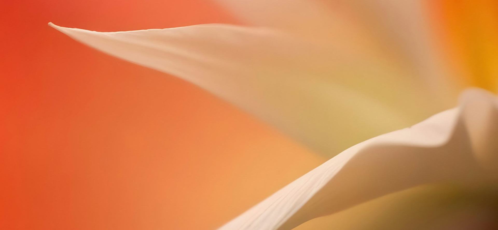 slider image 1621243260e1af0c20-2